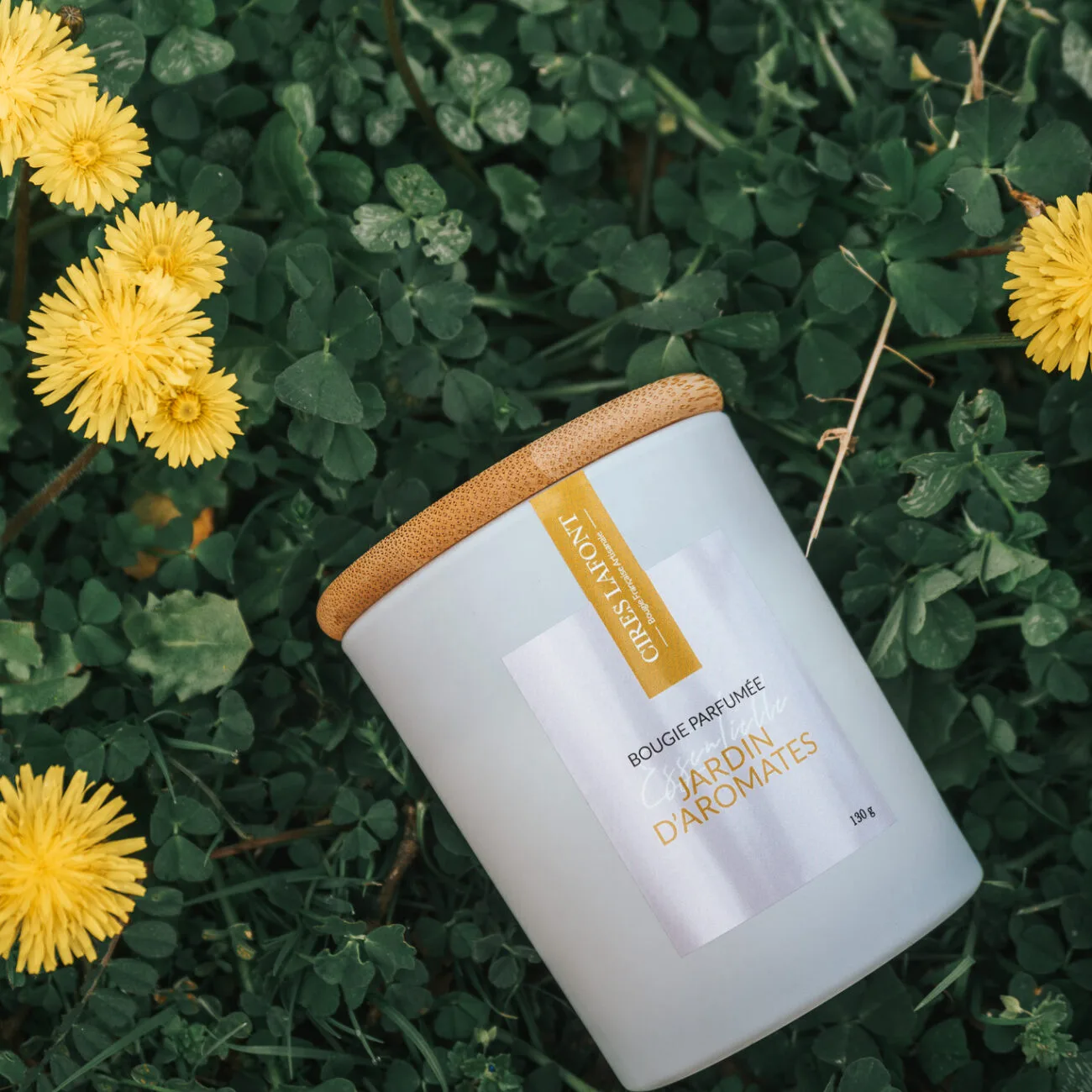 130g Artisan Scented Candle - Boreal Forest