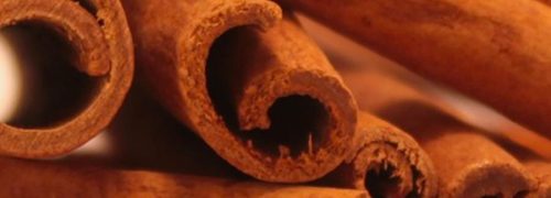 notes-olfactives_cannelle